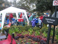 "Oglethorpe Square Encampment"